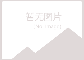 平乐县冰夏造纸有限公司